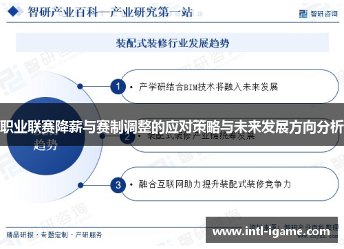 职业联赛降薪与赛制调整的应对策略与未来发展方向分析