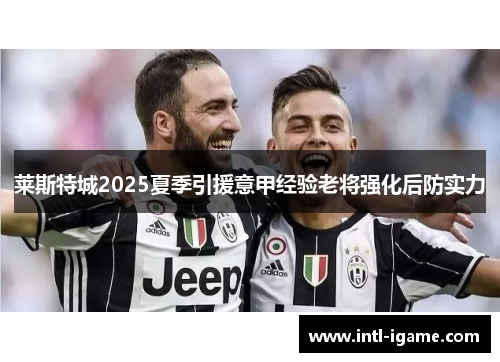 莱斯特城2025夏季引援意甲经验老将强化后防实力