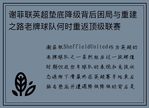 谢菲联英超垫底降级背后困局与重建之路老牌球队何时重返顶级联赛 谢菲联英超垫底降级背后困局与重建之路老牌球队何时重返顶级联赛